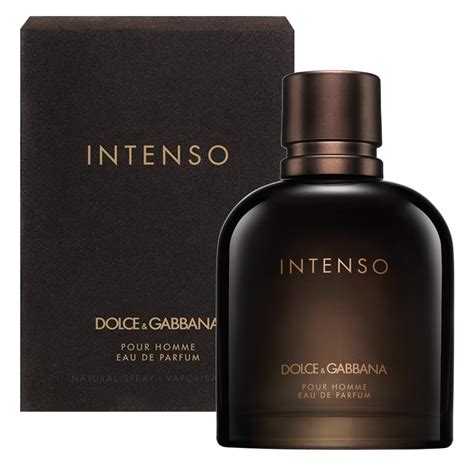 best dolce gabbana cologne